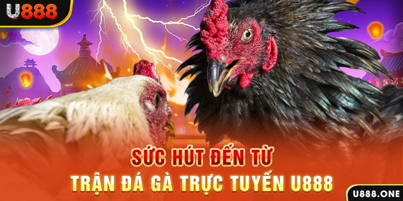 58win1 đá gà trực tiếp c1