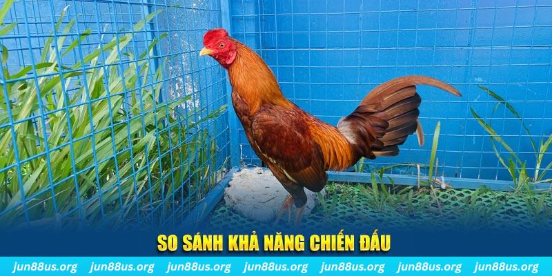 58win1 CQ9 Điện Tử