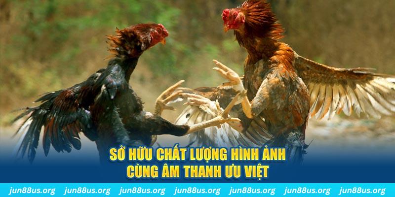 58win1 PP Điện Tử