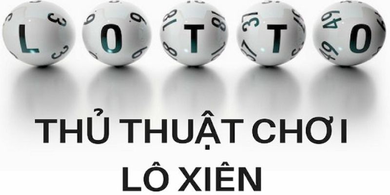 58win1 trực tiếp đá gà thomo
