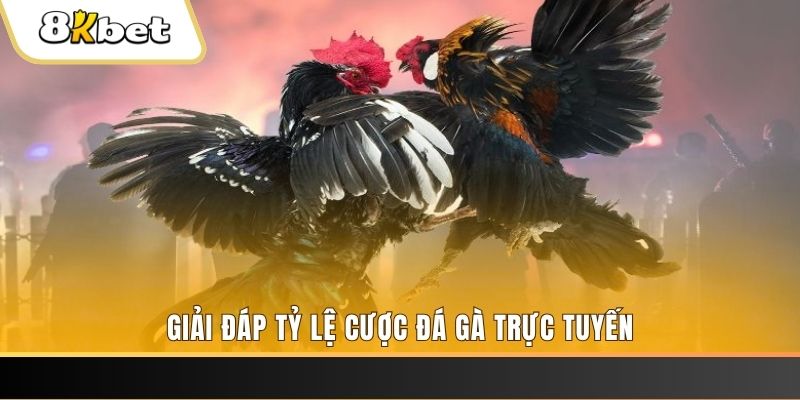 58win1 xổ số đài miền trung