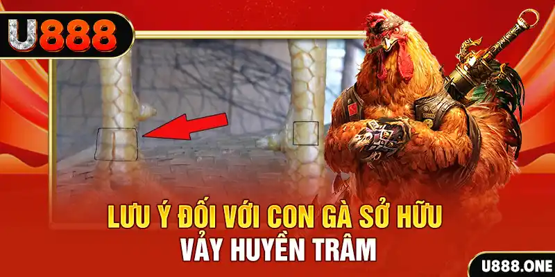 58win1 kết quả xổ số miền nam hôm nay
