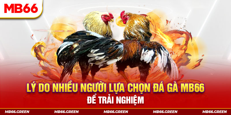 58win1 xổ số miền bắc thứ bảy hàng tuần