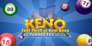 58win1 gà chọi c1 thomo