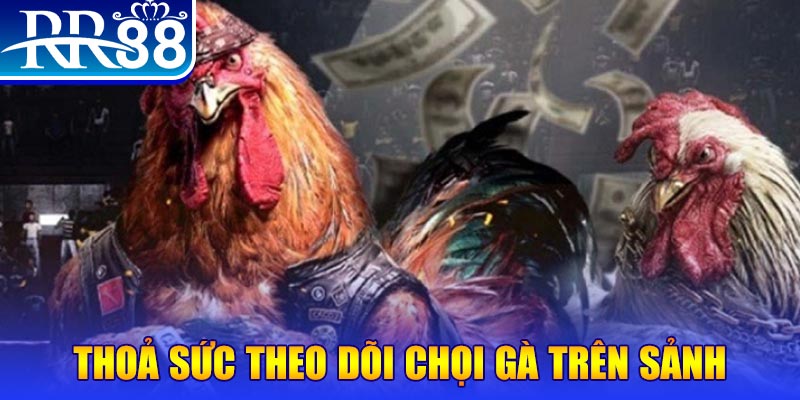 58win1 trực tiếp đá gà c1