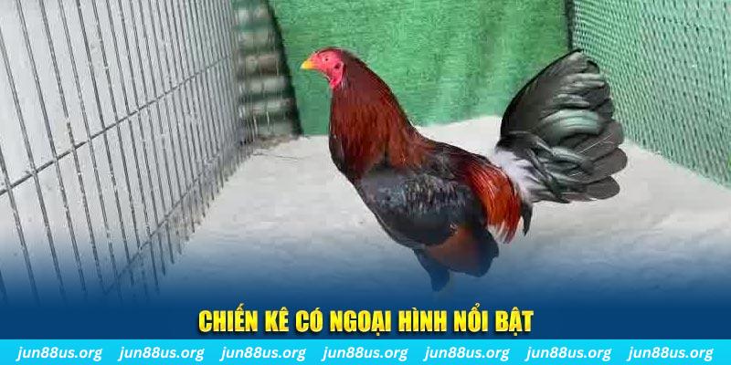 58win1 game nổ hũ là gì