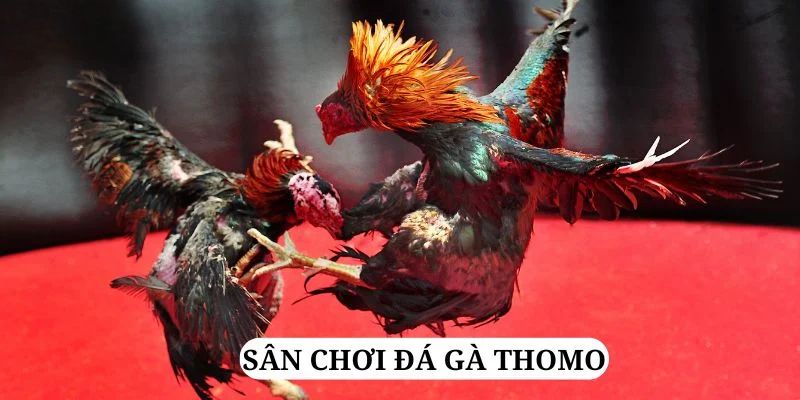 58win1 trực tiếp xổ số miền bắc